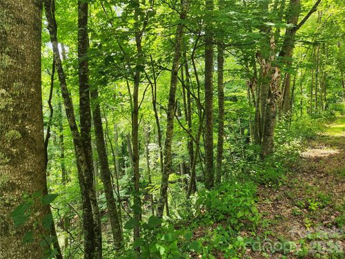 00 Green Ridge Falls Road, Weaverville, NC, 28787 | Card Image