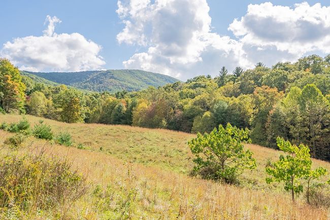 214 Comers Creek Rd, Home with 0 bedrooms, 0 bathrooms and null parking in Sugar Grove VA | Image 48