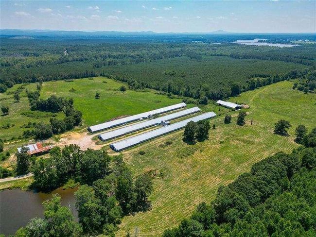 204 George Rd Sw, Home with 0 bedrooms, 0 bathrooms and null parking in Cave Spring GA | Image 4