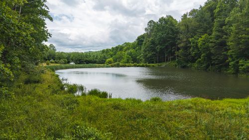 TBD Ferney Creek Rd Nw, Willis, VA, 24380 | Card Image