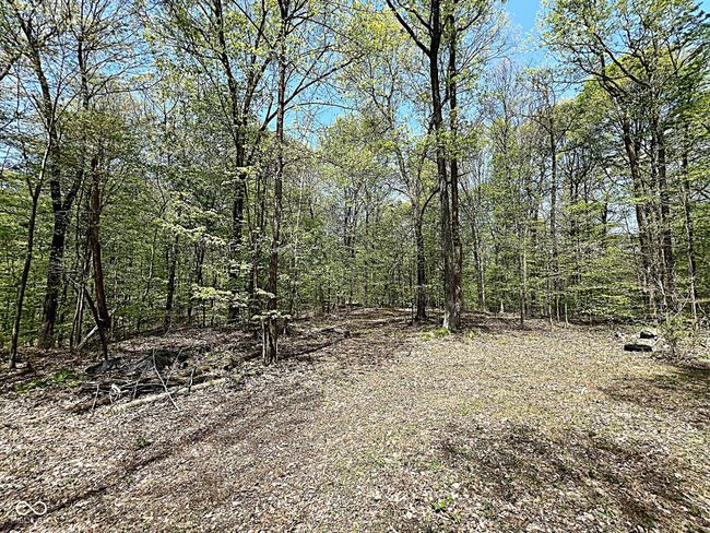 0 Possum Trot Rd, Home with 0 bedrooms, 0 bathrooms and null parking in Unionville IN | Image 4