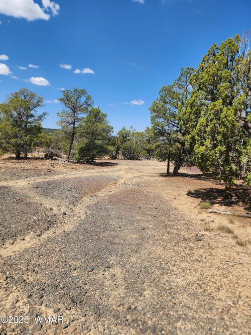 15 County Road 3041, Concho, AZ, 85924 | Card Image