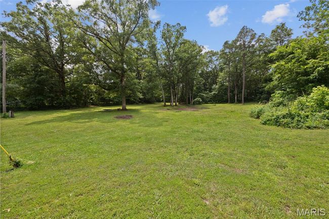 View of grassy yard | Image 23