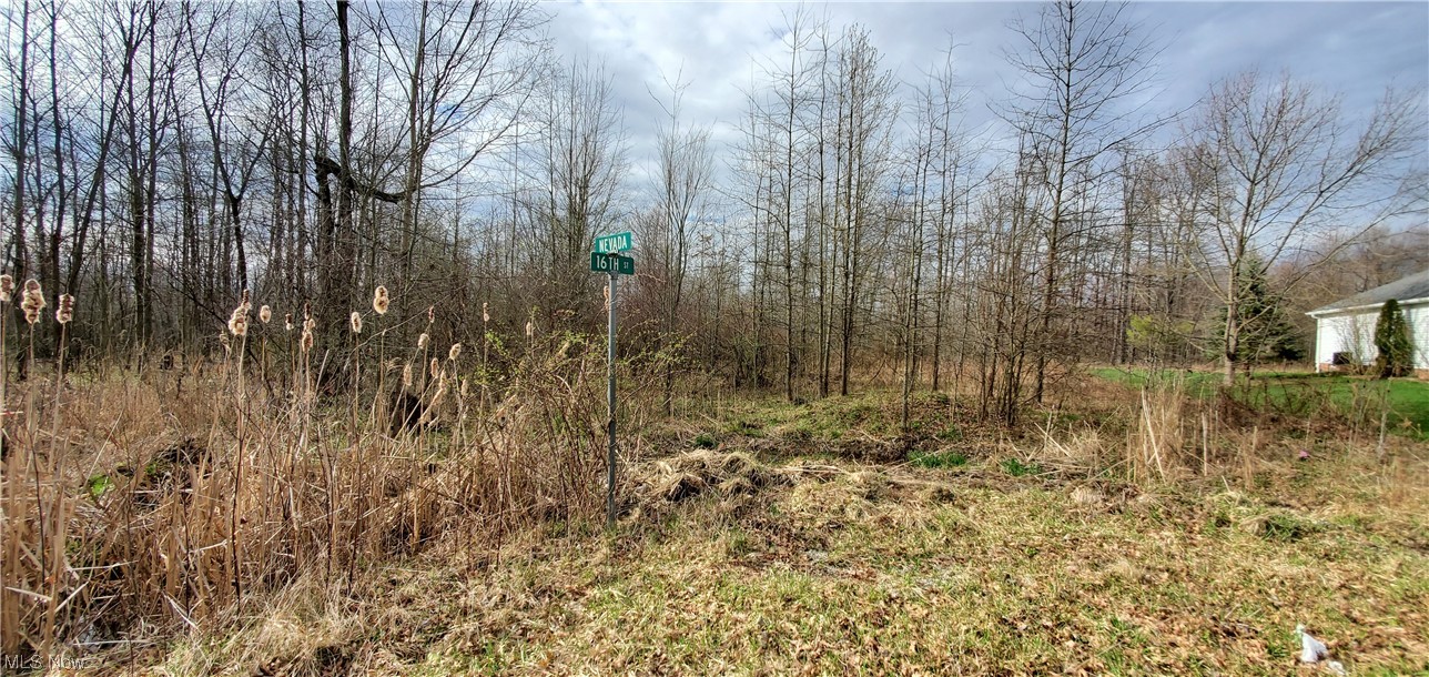 Nevada Ave, Sebring, OH 44672 #1