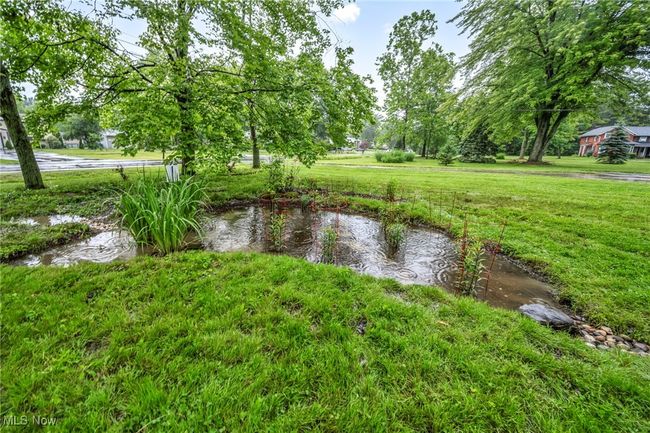 Beautiful rain gardens with native plants decorate the front yard | Image 32