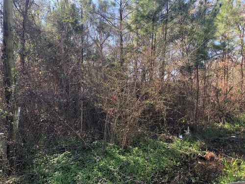 0 Piney Ln, Coldspring, TX, 77331 | Card Image