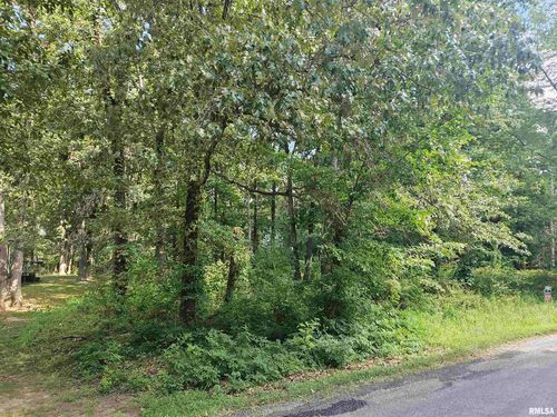 0000 White Birch Ct, Benton, IL, 62812 | Card Image