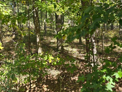 Lot 416 Plum Hollow Blvd, Hot Springs, AR, 71913-7750 | Card Image