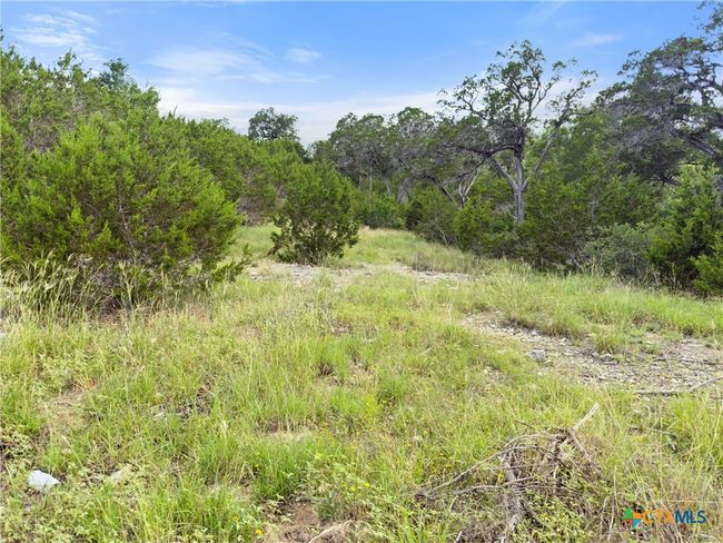 128 Enigma Ave, Home with 0 bedrooms, 0 bathrooms and null parking in Spring Branch TX | Image 9