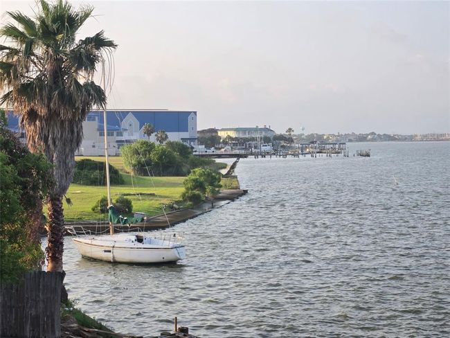 Scenic waterfront view with a serene shoreline, palm trees, and a docked sailboat. Ideal for enjoying coastal living and picturesque sunsets. | Image 24