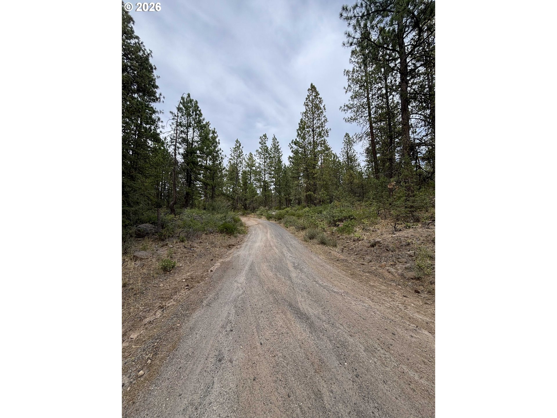 Land in Bonanza 2