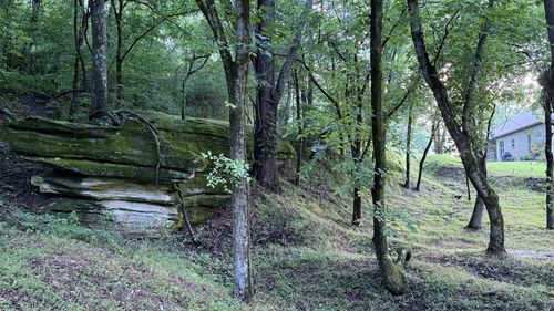 2022 Southport Rd, Culleoka, TN, 38451-2003 | Card Image