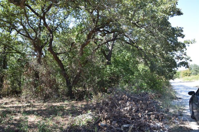 View of undeveloped land | Image 5