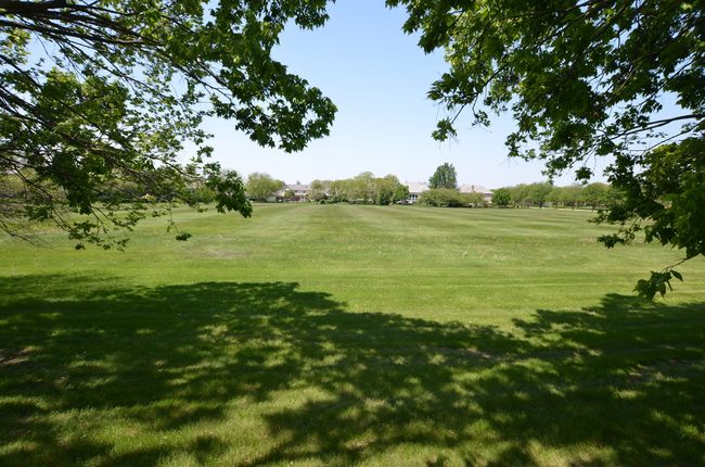 Backyard open space | Image 46