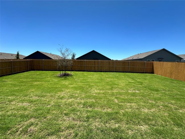View of yard | Image 17