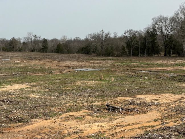 TRACT-1 - TBD County Road 2425, Home with 0 bedrooms, 0 bathrooms and null parking in Como TX | Image 5