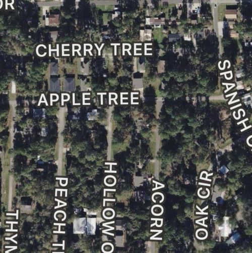 00 Apple Tree, Livingston, TX, 77351 | Card Image