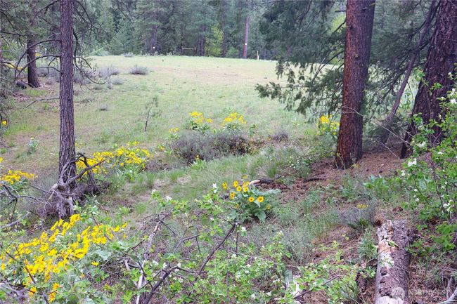 799 Twisp River Rd, Home with 0 bedrooms, 0 bathrooms and null parking in Twisp WA | Image 15