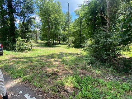 0 Mcgowen Rd, Lake Cormorant, MS, 38641 | Card Image