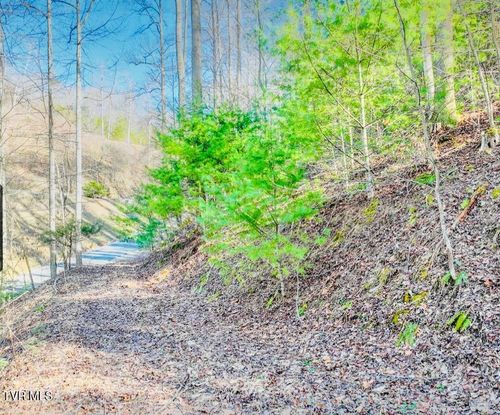 Lot 18 Horseshoe Cove Dr, Butler, TN, 37640 | Card Image