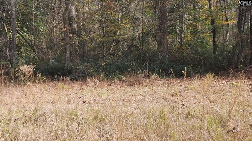 4079 Jefferson Davis Hwy, Bethune, SC, 29009-9414 | Card Image