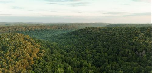 0 Wagnon Mountain Road, Tuscumbia, AL, 35674 | Card Image
