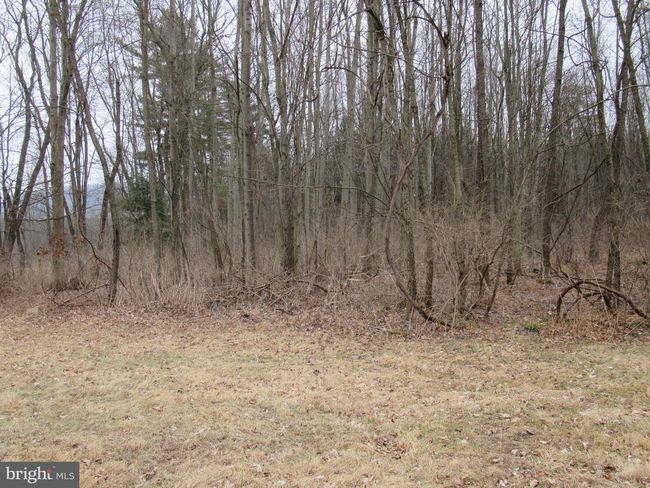 4140 Nittany Valley Dr, House other with 3 bedrooms, 2 bathrooms and null parking in HOWARD PA | Image 27