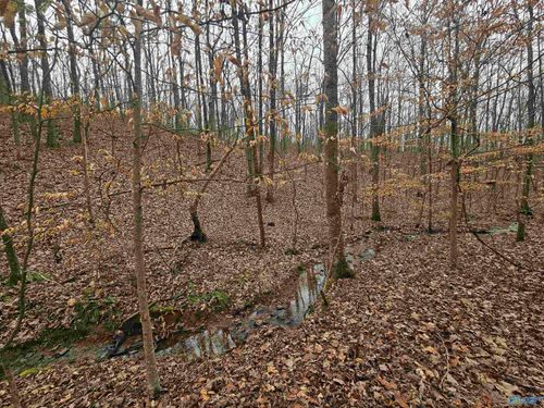 013 Toney Drive, Attalla, AL, 36950 | Card Image