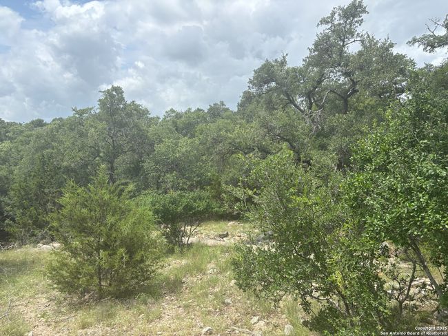 606 Lantana Mesa, Home with 0 bedrooms, 0 bathrooms and null parking in Spring Branch TX | Image 9