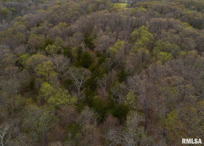 0 N Chambers Rd, Home with 0 bedrooms, 0 bathrooms and null parking in Smithfield IL | Image 40