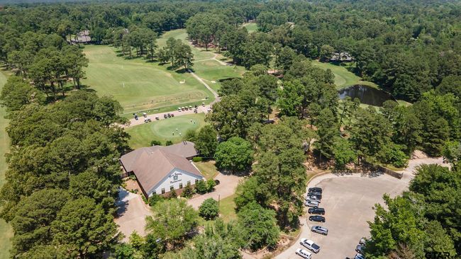 201 Elmwood Ln, House other with 2 bedrooms, 2 bathrooms and null parking in Holly Lake Ranch TX | Image 28