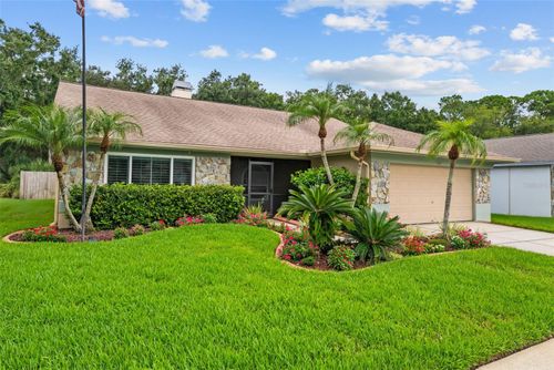 11910 Steppingstone Blvd, TAMPA, FL, 33635-6260 | Card Image