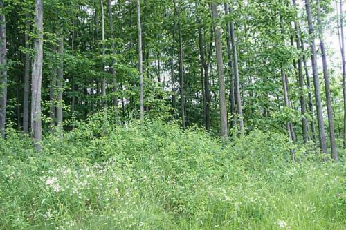 8877 Cedar Creek Dr, Petoskey, MI, 49770-8872 | Card Image