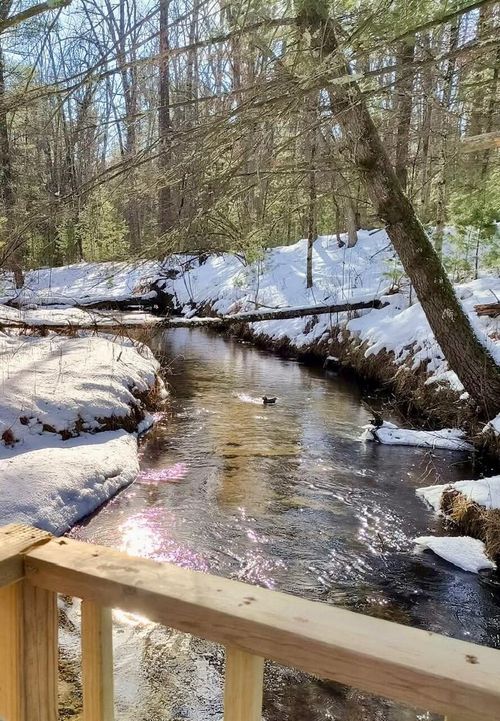 3833 E Creek Wood Dr, Chase, MI, 49623-8618 | Card Image