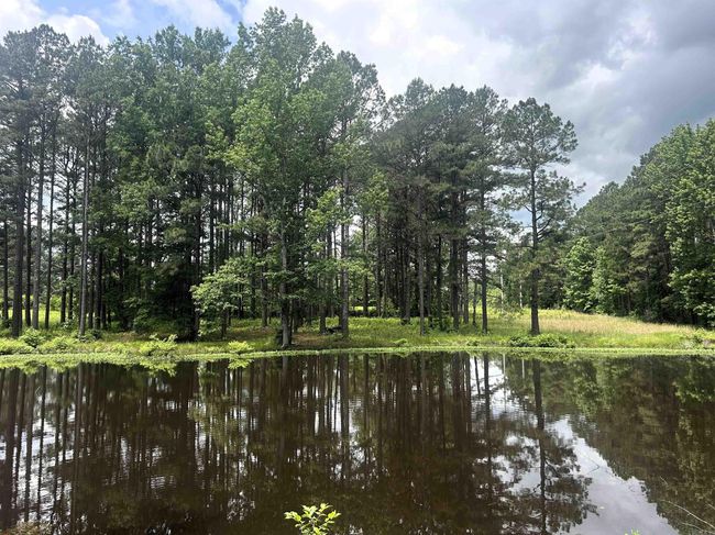 0 E Center St, Home with 0 bedrooms, 0 bathrooms and null parking in Sheridan AR | Image 5