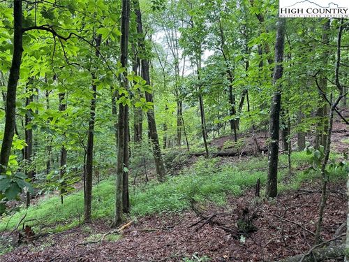 TBD Rattlesnake Mountain Road, Laurel Springs, NC, 28644 | Card Image