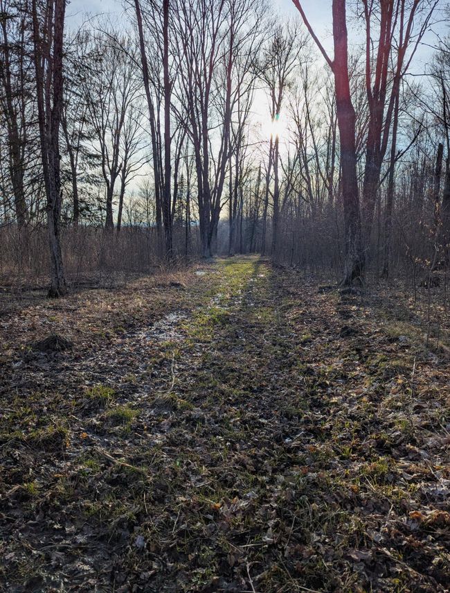 00 Cth X, Home with 0 bedrooms, 0 bathrooms and null parking in PRENTICE WI | Image 33