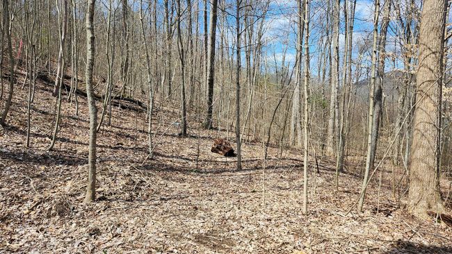 TRACT-2-PIKE-LAKE-GETAWA - 0 Pike Lake Rd, Home with 0 bedrooms, 0 bathrooms and null parking in Bainbridge OH | Image 17