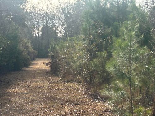 1 Old Jacksonboro Rd, Ravenel, SC, 29470 | Card Image