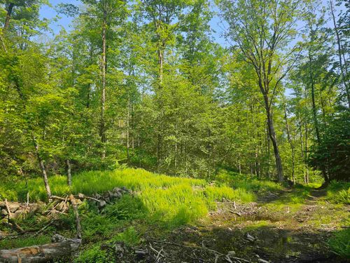0 Stones Mill Rd, Spofford, NH, 03462 | Card Image