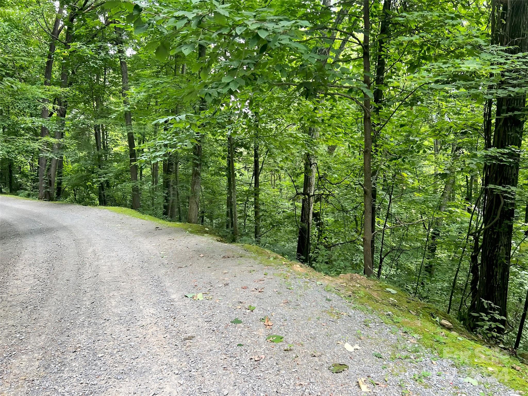 Land in Waynesville