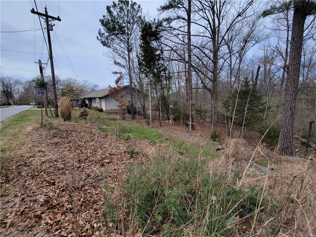 Land in Bella Vista 5