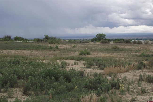 1 1900 Road, Home with 0 bedrooms, 0 bathrooms and null parking in Delta CO | Image 29