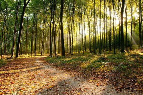 5408 Fawn Ter, Farwell, MI, 48622-9614 | Card Image