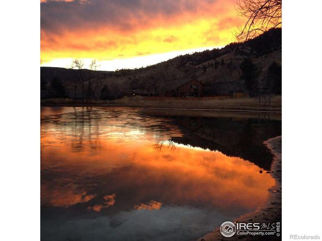 Another reason to live here | Image 35