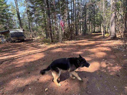00 Province Lake Rd, Effingham, NH, 03882 | Card Image