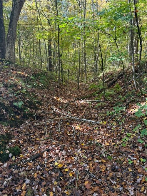 TBD 130th Ave, TURTLE LAKE, WI, 54889 | Card Image