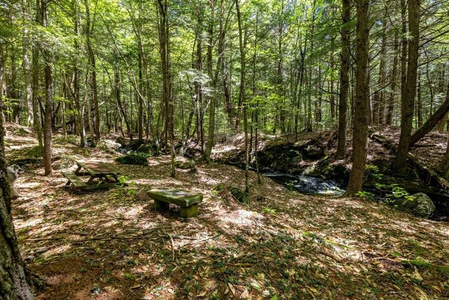 0 Montgomery Road, Home with 0 bedrooms, 0 bathrooms and null parking in Salisbury NH | Image 8