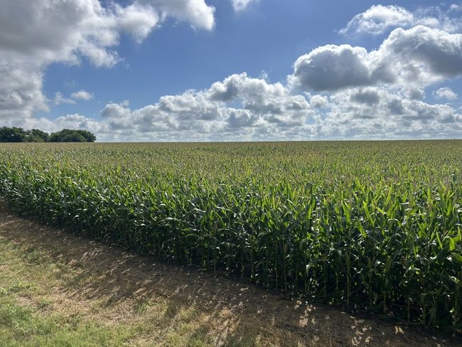 View of undeveloped land featuring farmland and rural landscape | Image 16