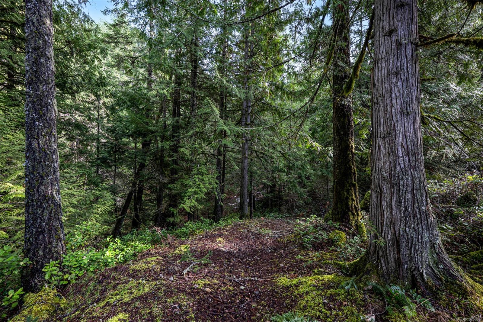 Residential in Malahat 3